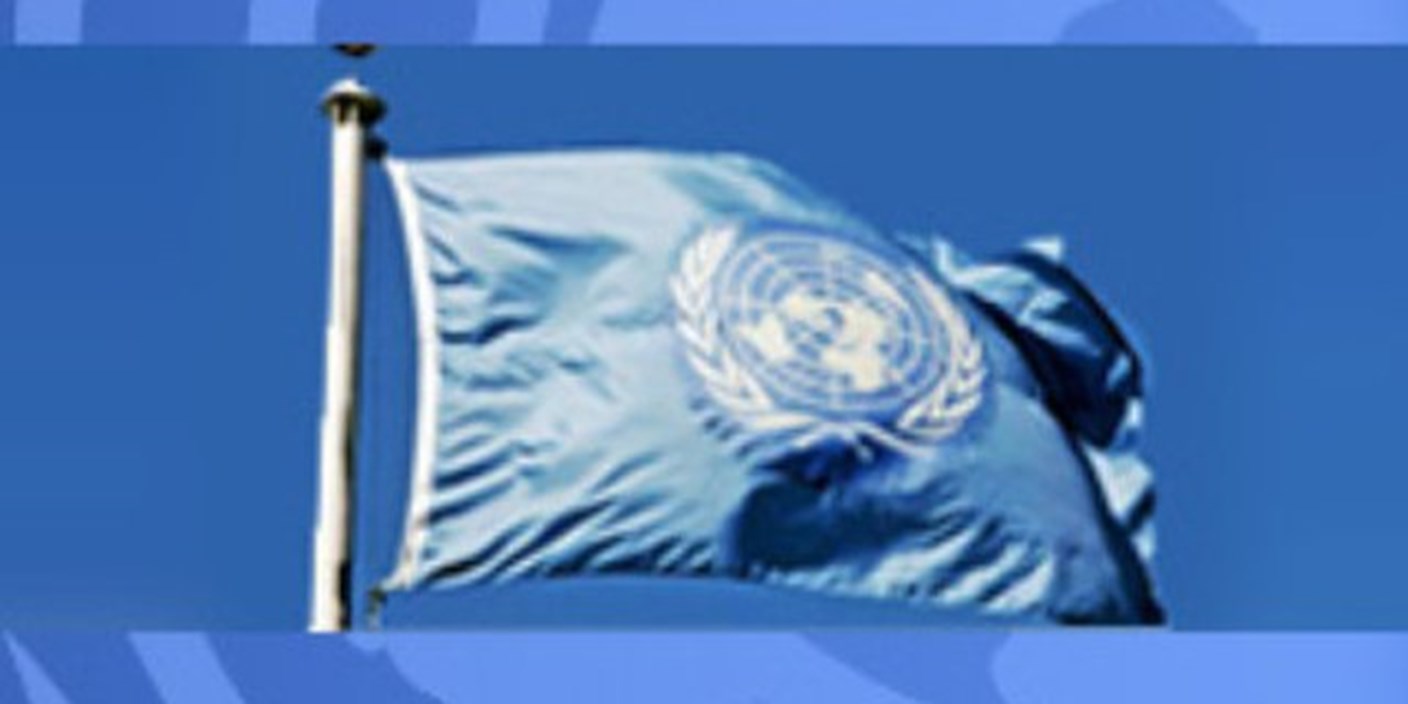 28.12.2013 Еще один год в ООН